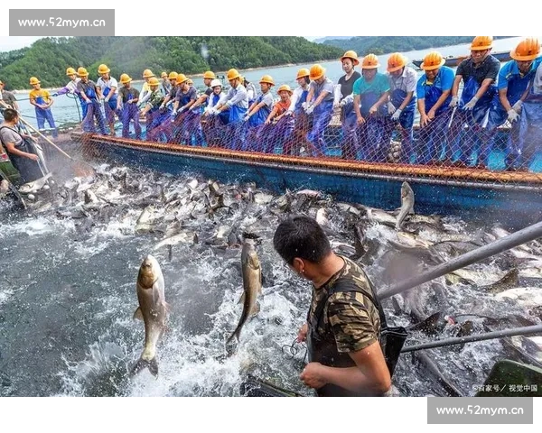 高手云集的垂钓比赛实录镜头记录紧张对决与爆护瞬间全程真实还原